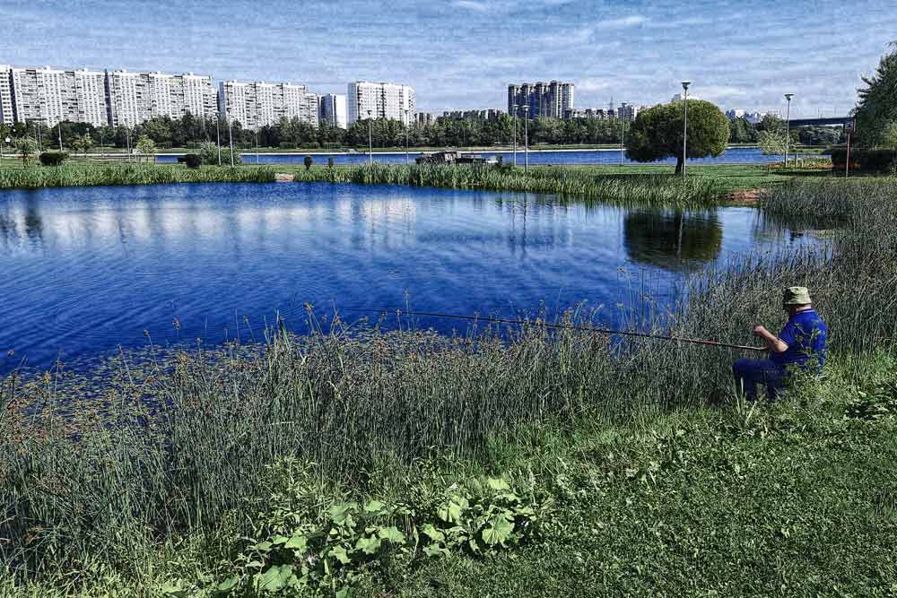 Парки Москвы тема нашего факультатива