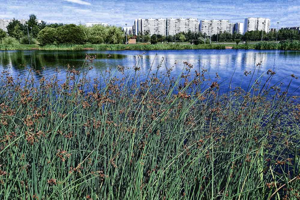 prog_02 image Парк в Москве