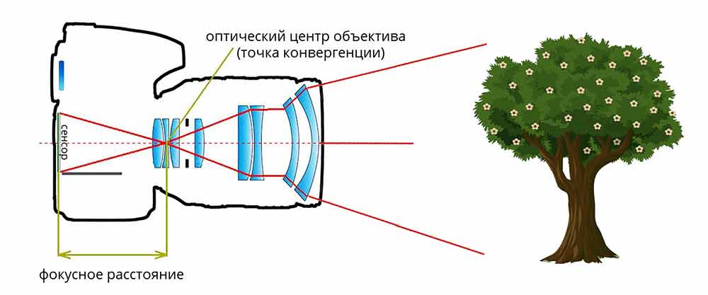 fokus_1 image Фокусное расстояние объектива
