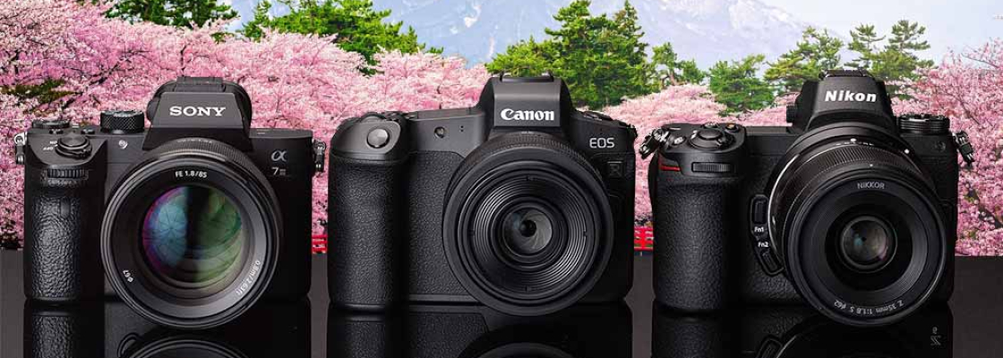 nikon-canon-sony_large Творческая фотошкола Международной Ассоциации фотографов IAP с гарантией качественного обучения