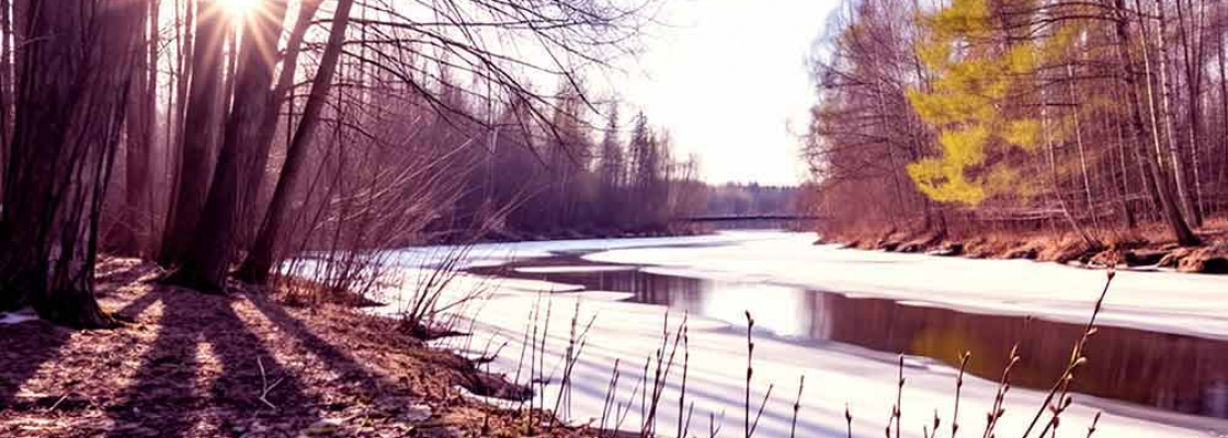 vesna_025_large Творческая фотошкола Международной Ассоциации фотографов IAP с гарантией качественного обучения